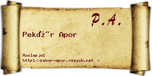 Pekár Apor névjegykártya